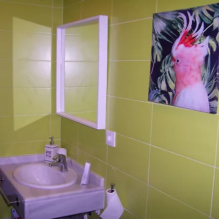 Apartamento Nuevo En Centro Historico *