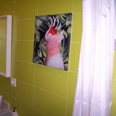 شقة Apartamento Nuevo En Centro Historico جيريز
